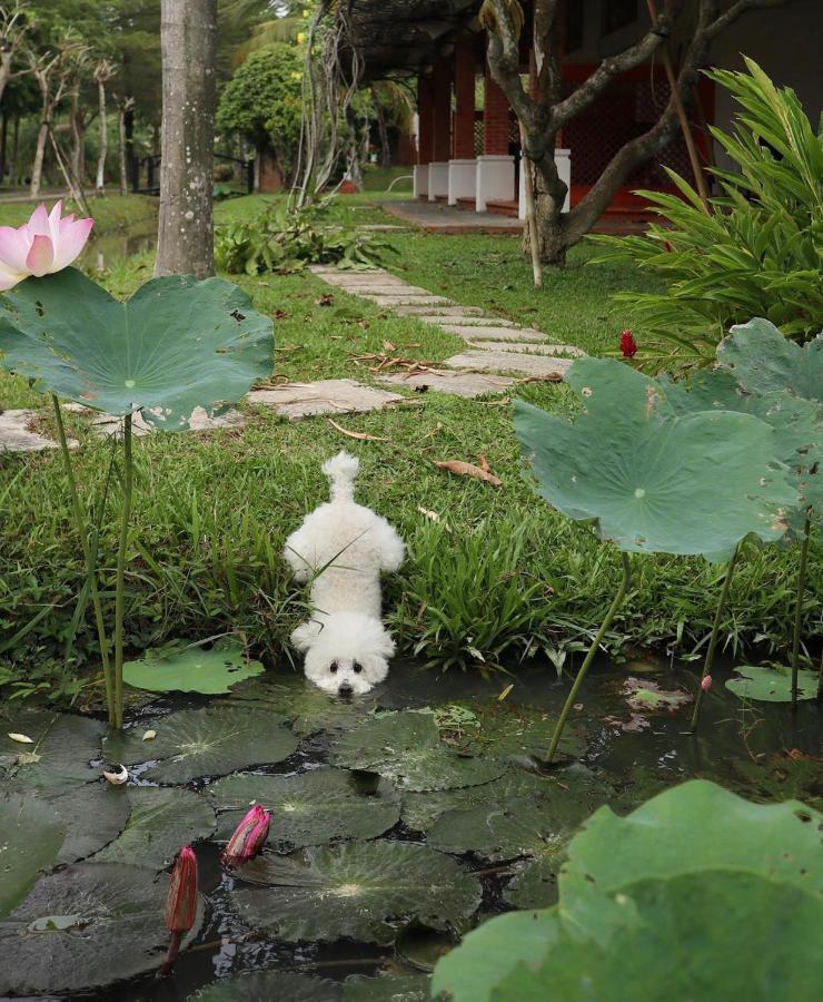Les Hameaux De L'Orient Hotell Ho Chi Minh-byen Eksteriør bilde