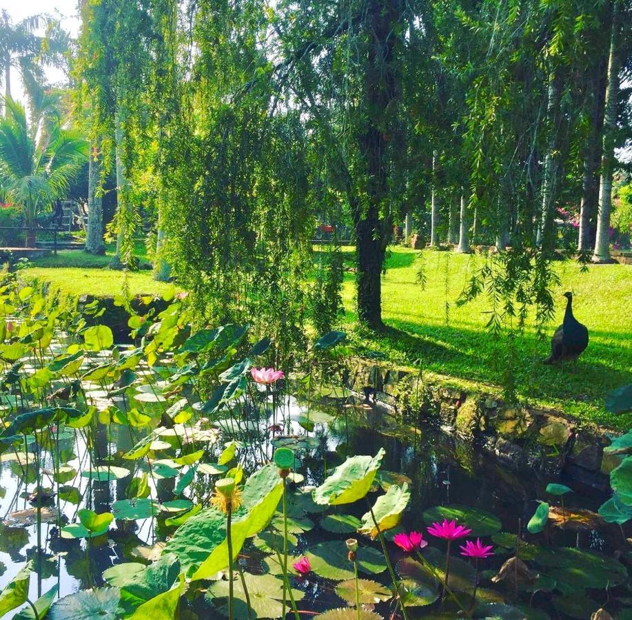 Les Hameaux De L'Orient Hotell Ho Chi Minh-byen Eksteriør bilde